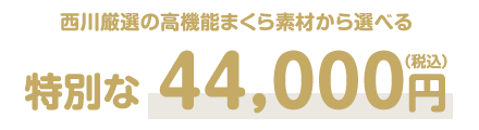 特別な44,000円（税込）